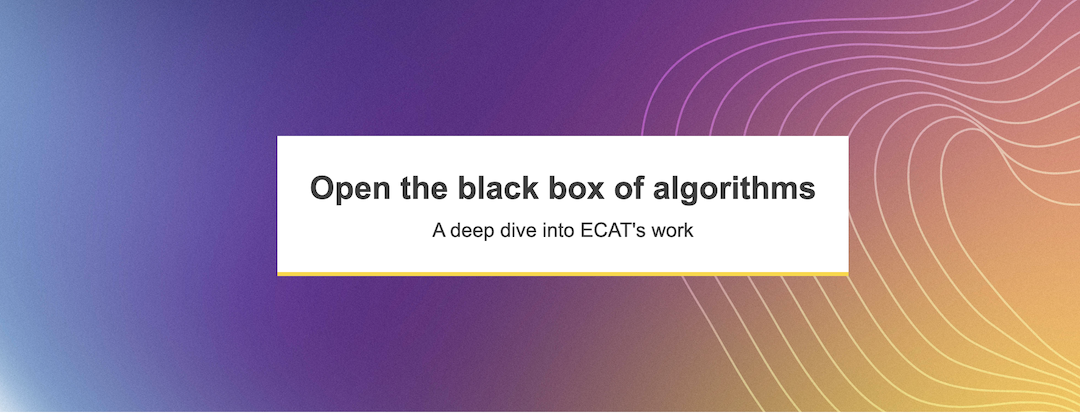 Open the black box of algorithms