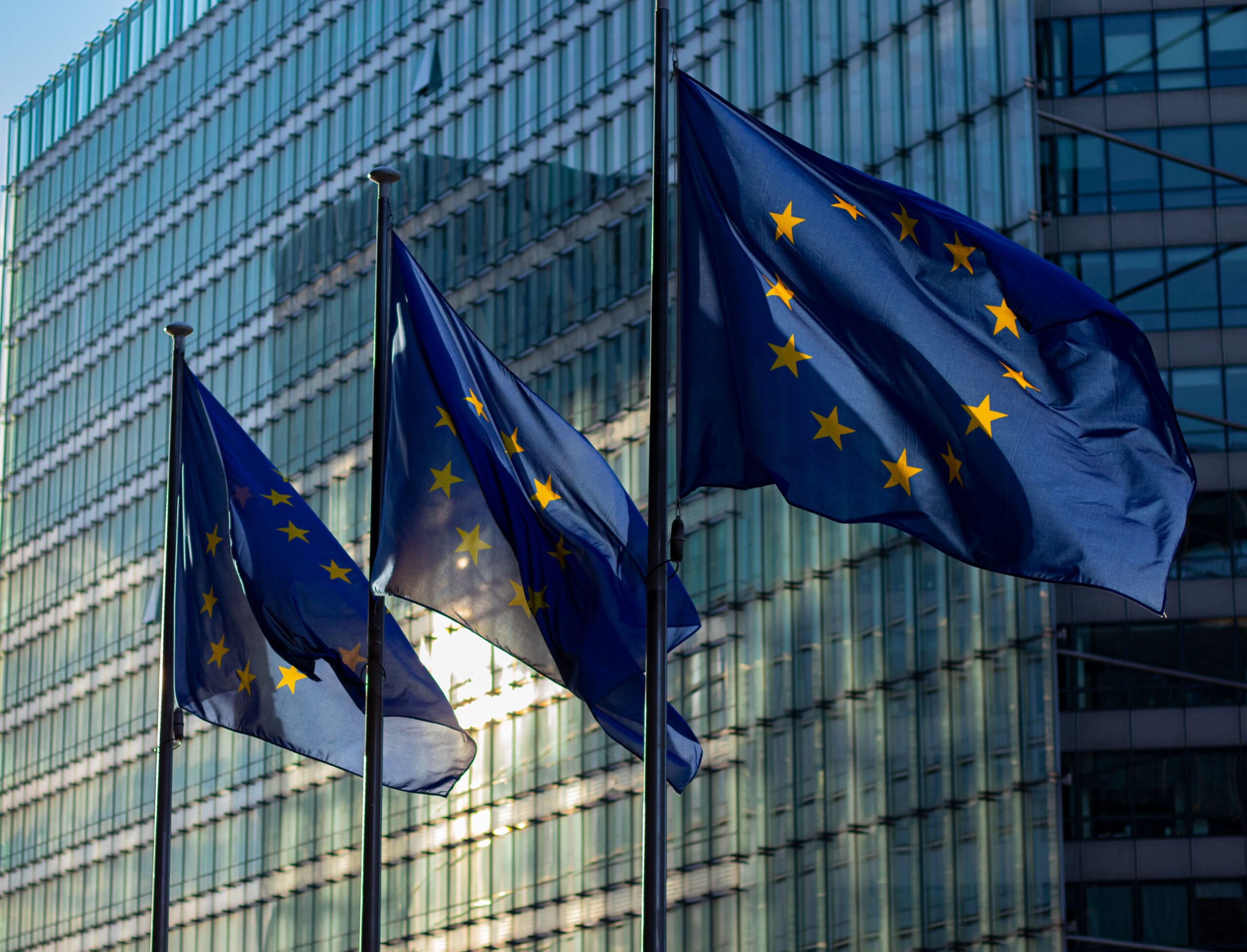 Understanding Your New Rights Under the EU’s Digital Services Act: A User’s Comprehensive Guide